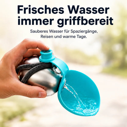 HydraDogs — Schweizer Präzision für die Hydration deines Hundes auf dem Trail