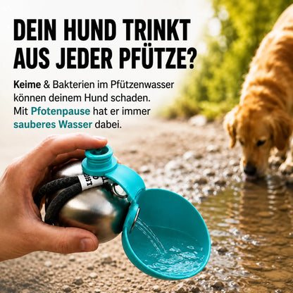 HydraDogs — Schweizer Präzision für die Hydration deines Hundes auf dem Trail